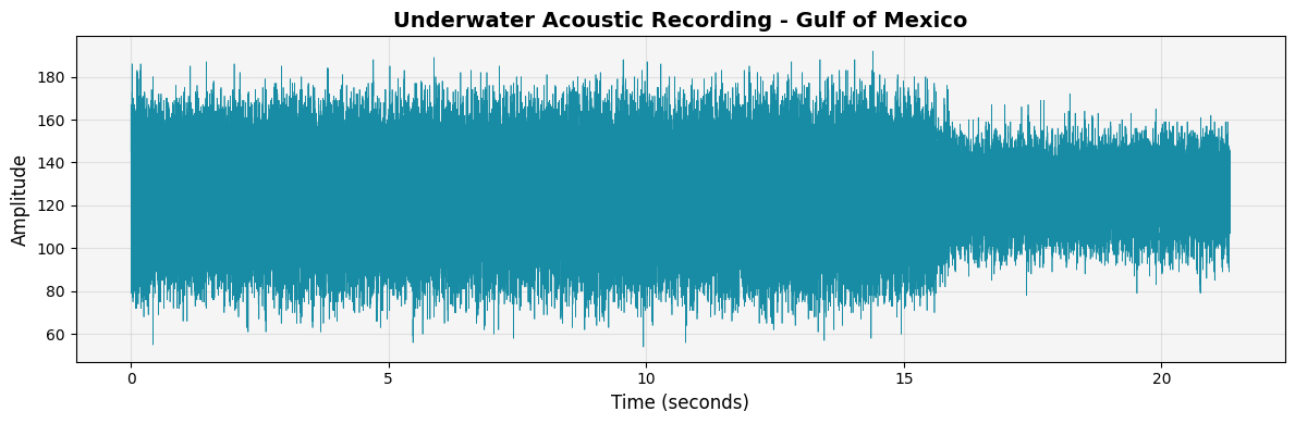 Underwater acoustic waveform